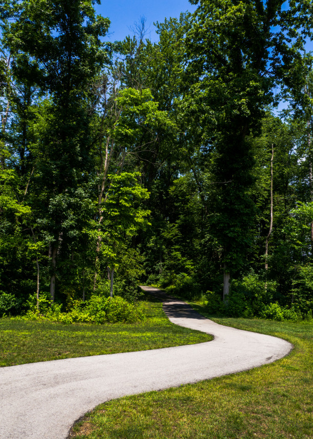 Hampshire walking trails